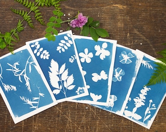 Cyanotype DIY Kit – Botanical Sun Print Kit for Nature Art & Handmade Gifts