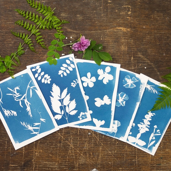 Cyanotype Do-It-Yourself Kit: Botanical prints and Handmade Gifts, Ideal for Birthday Gifts, Gifts for Friends, Artistic Projects