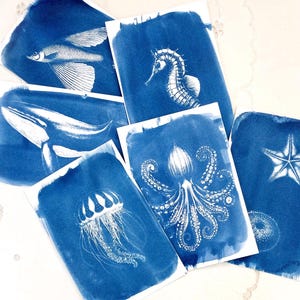 Marine Life Stencils for Cyanotype – DIY Sun Printing Negatives