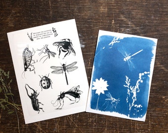 Cyanotypi-kit, soltryck med insektsstenciler, set med botaniska naturtryck