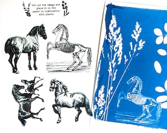 May include: Two sheets of paper with black and white images of horses. One sheet has a horse skeleton and the other has a solid horse. The text "Cut out the image and place it on the paper in combination with plants" is on the sheet with the horse skeleton. The other sheet has a blue background with white images of plants.