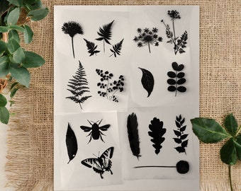 Stencils kit for Cyanotype. Botanical stencil kit, DIY Kit for Adults and Children, art activity, sunprint kit