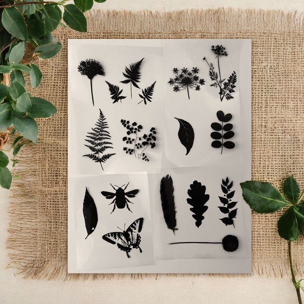 Stencils kit for Cyanotype. Botanical stencil kit, DIY Kit for Adults and Children, art activity, sunprint kit