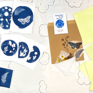 Kit exploration cyanotype à faire soi-même, Créez vos propres impressions et cadeaux faits main, fleurs, feuilles séchées et pochoirs inclus