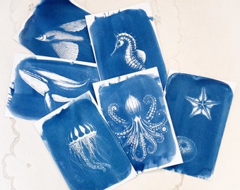 Just stencils, cyanotype Stencils, marine Life Stencils Kit, DIY art activity, craft kit. DIY art