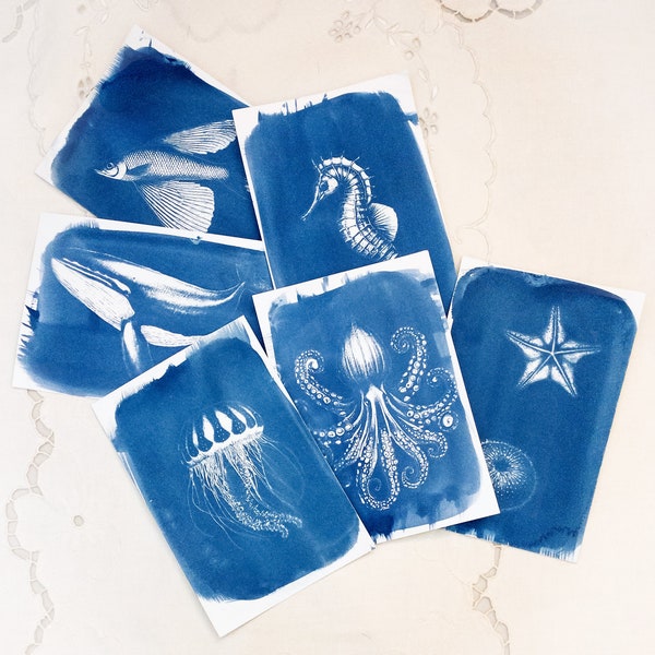 Ensemble de grands pochoirs animaux marins pour cyanotype : Créez des impressions étonnantes avec un kit de stencils pour adultes et enfants