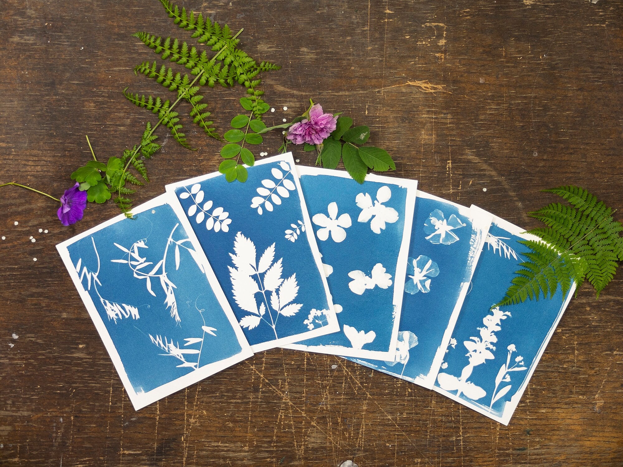 Kit de cyanotype, Créez vos propres impressions et cadeaux faits main, Idéal pour les cadeaux d'anniversaire, les artistes