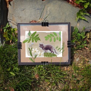 May include: A framed pressed flower art piece featuring a gray cat with green leaves and white flowers. The frame is black with silver clips.