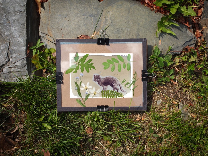 May include: A framed pressed flower art piece featuring a gray cat with green leaves and white flowers. The frame is black with silver clips.
