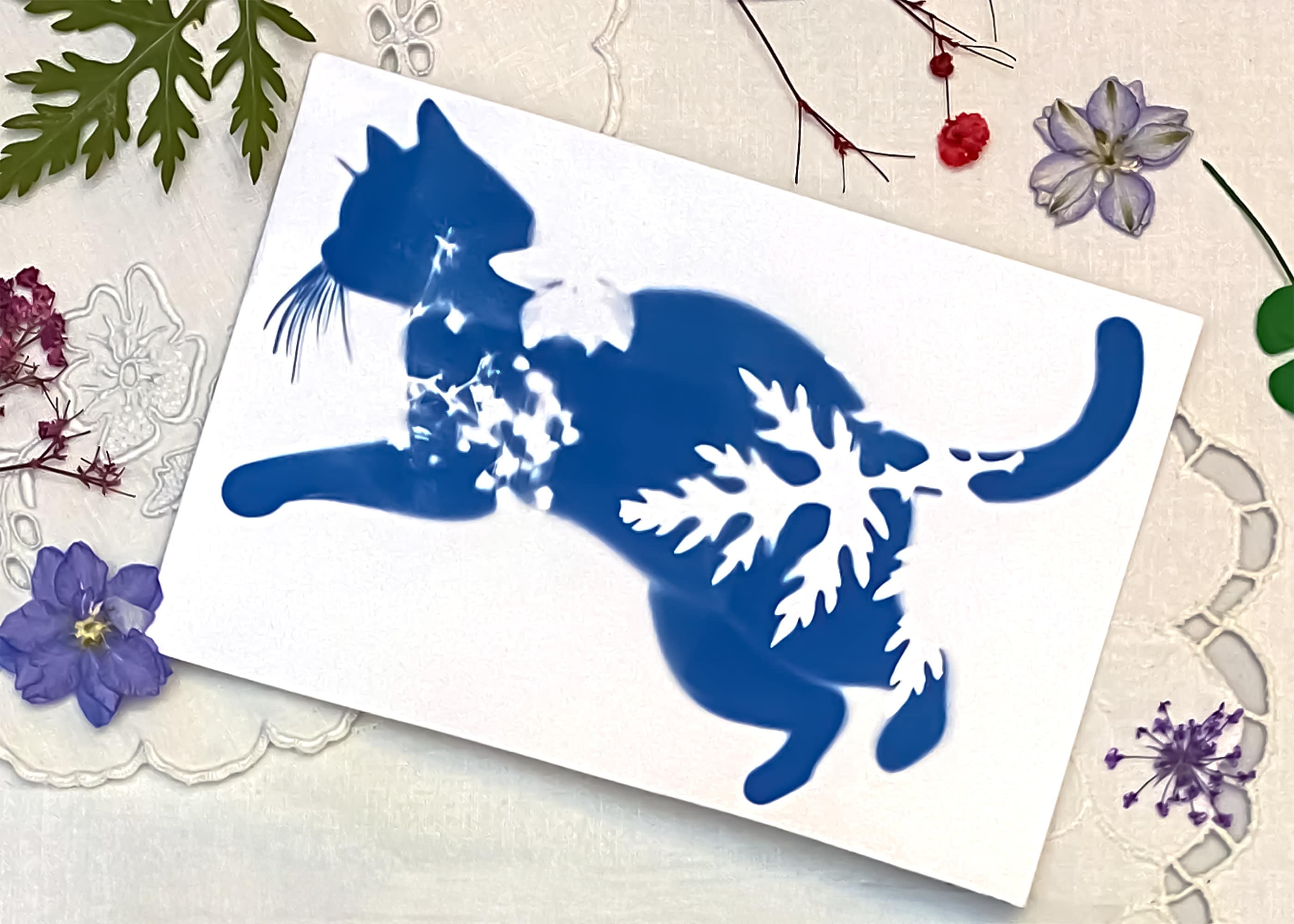 Kit de cyanotype pour adultes et enfants. Kit d'impression solaire créatif avec pochoirs en forme de chat. Inclus fleurs et feuilles séchées