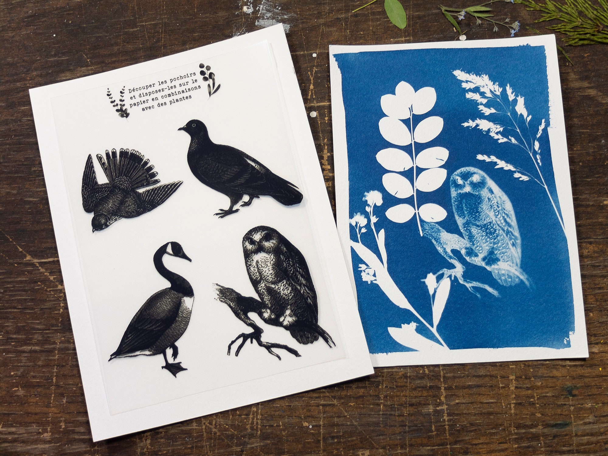 Kit de cyanotype: Pochoirs oiseaux, Créez vos impressions et cadeaux faits main, pour les cadeaux d'anniversaire, les artistes