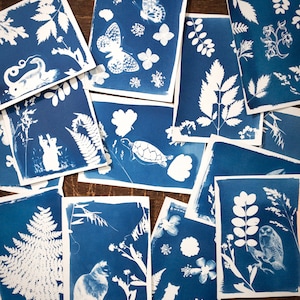May include: A collection of cyanotype prints featuring various botanical and animal subjects, including butterflies, ferns, leaves, a turtle, a cat, and an owl. The prints are displayed on a wooden surface.