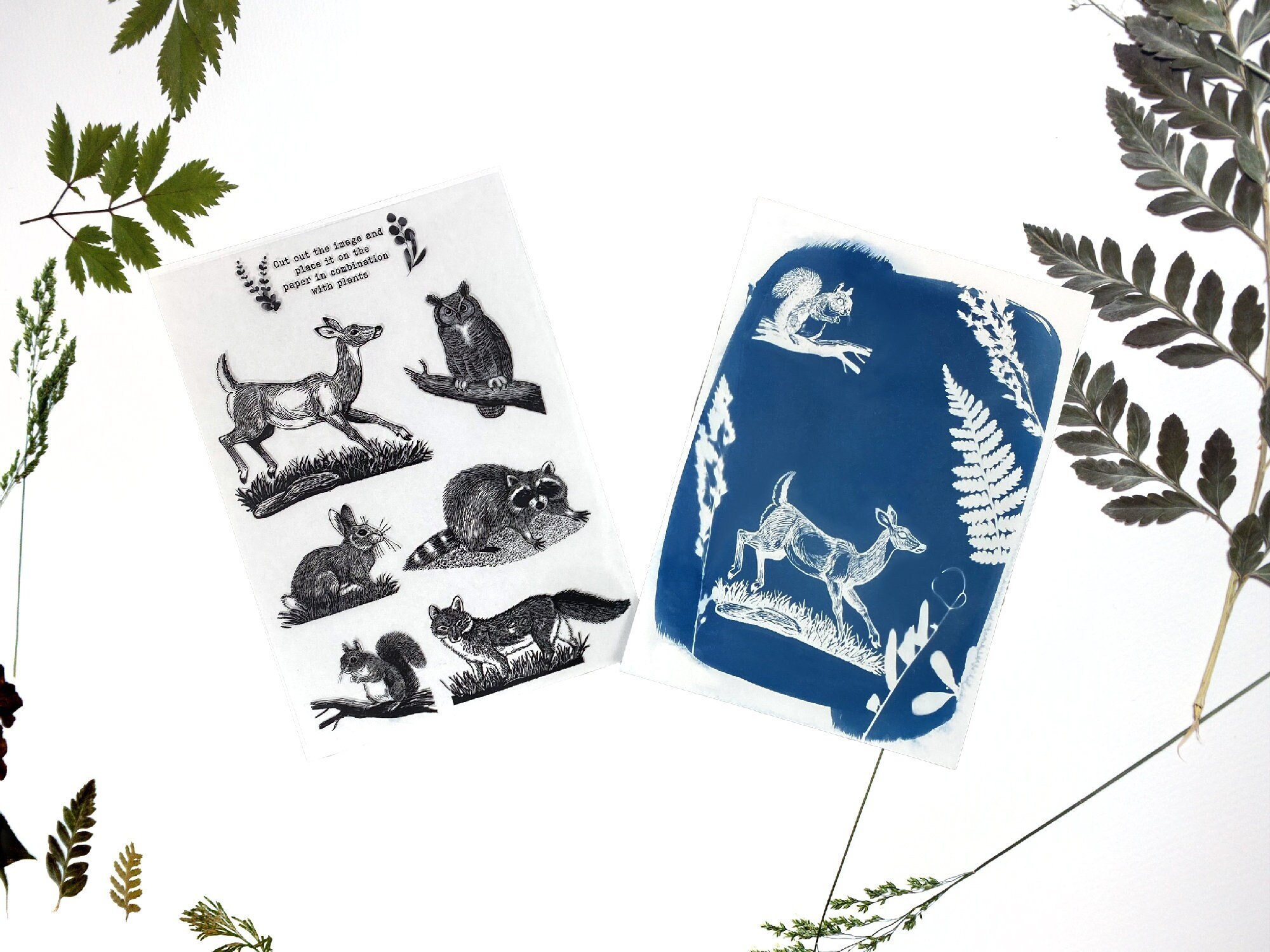 Kit de cyanotype: Pochoirs animaux de la forêt, Créez vos impressions et cadeaux faits main, pour les cadeaux d'anniversaire, les artistes