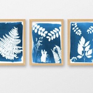 May include: Three framed cyanotype prints of botanicals, including a fern, a leaf, and a sprig of leaves. The prints are in wooden frames with a white mat.