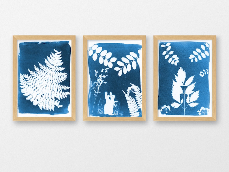 May include: Three framed cyanotype prints of botanicals, including a fern, a leaf, and a sprig of leaves. The prints are in wooden frames with a white mat.