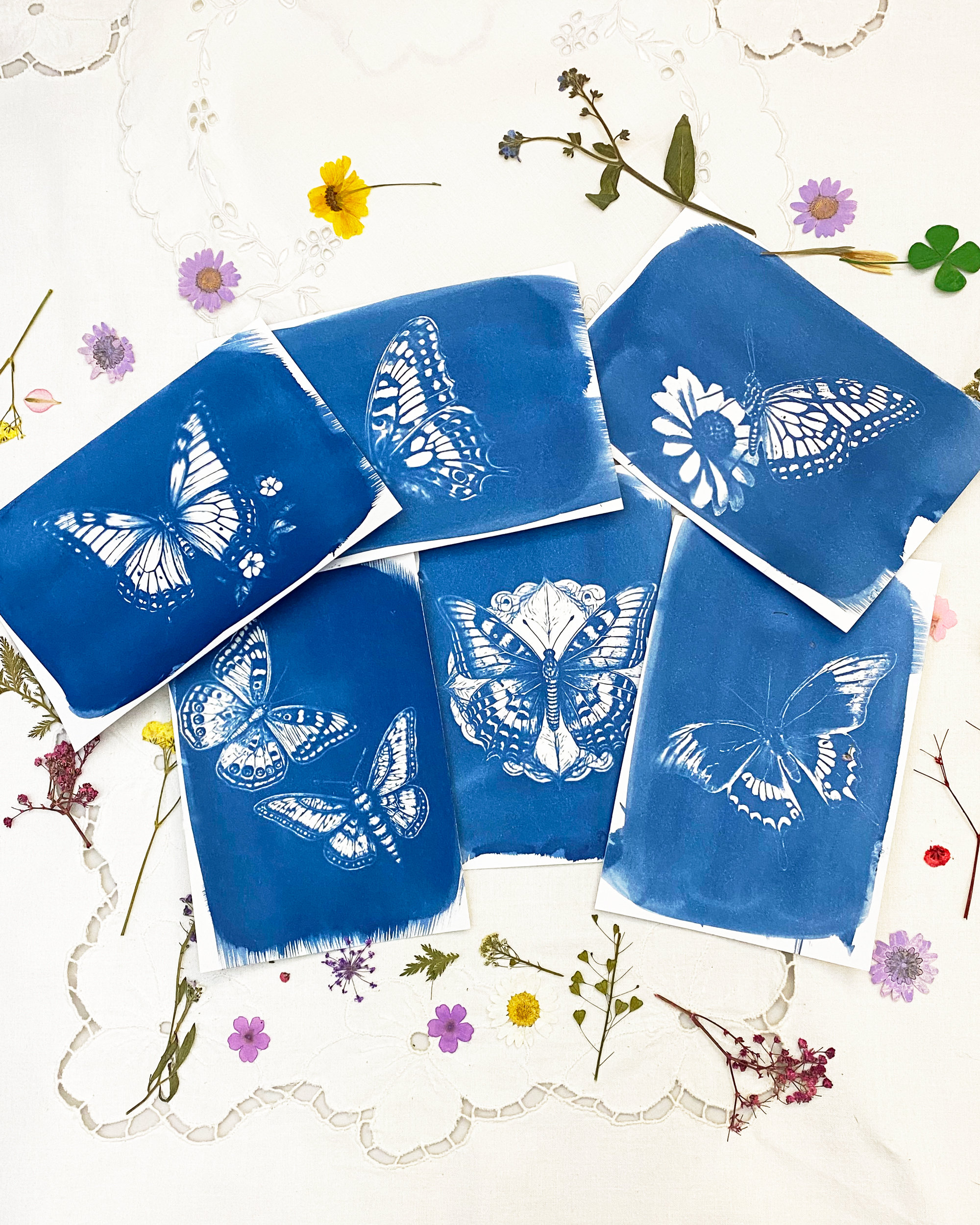 Seulement des pochoirs, Kit de grands pochoirs papillons, Projets créatifs de cyanotype, Fournitures artistiques DIY,  Impression solaire