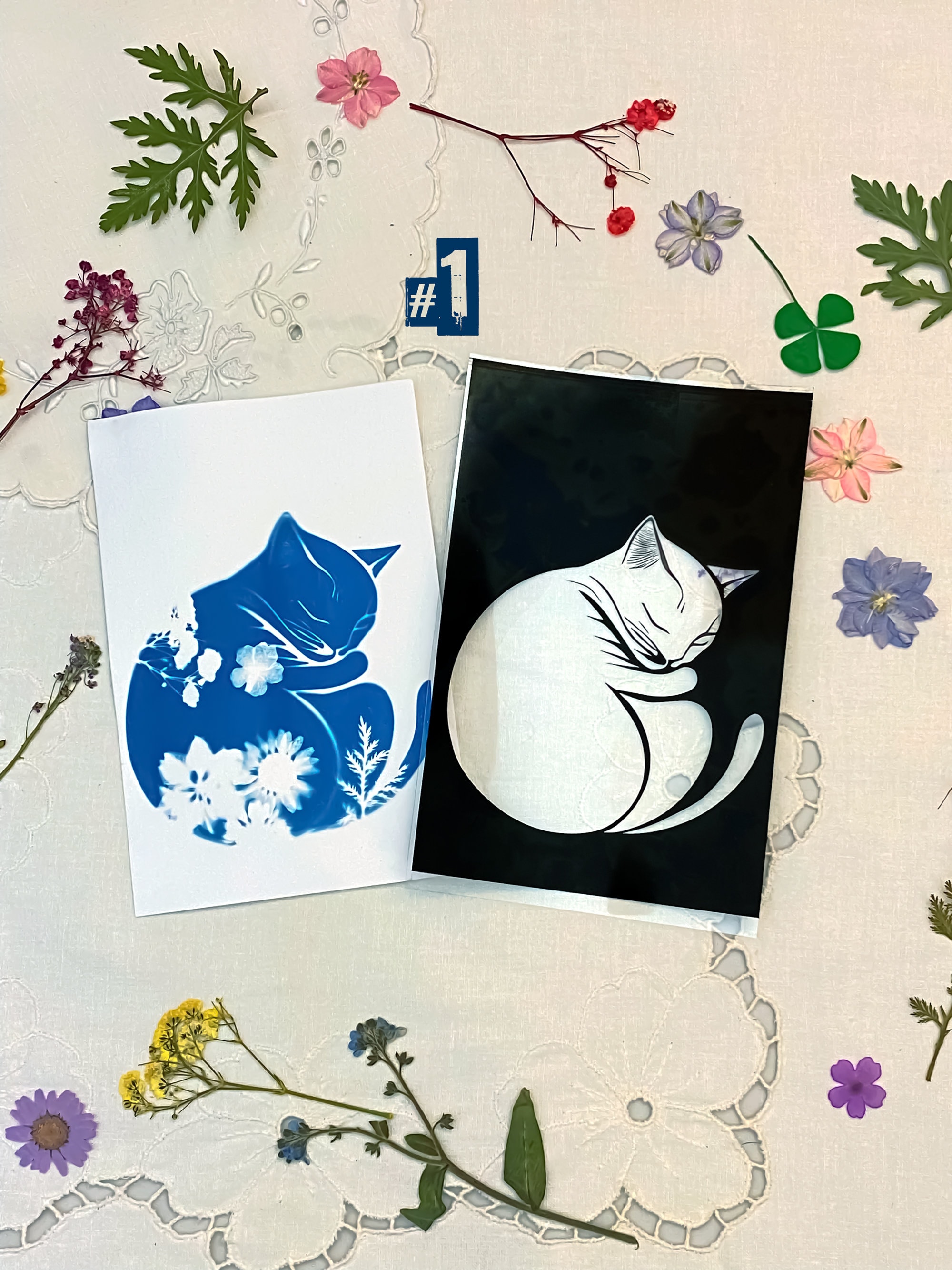 36 Fogli Carta Cianotipica A5 - Kit Stampa Solare Per Arte Fai Da Te, Con Modelli