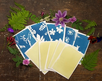 Cyanotype Paper Kit | Botanical Sun Printing Blueprints, Alternative Photography Supplies