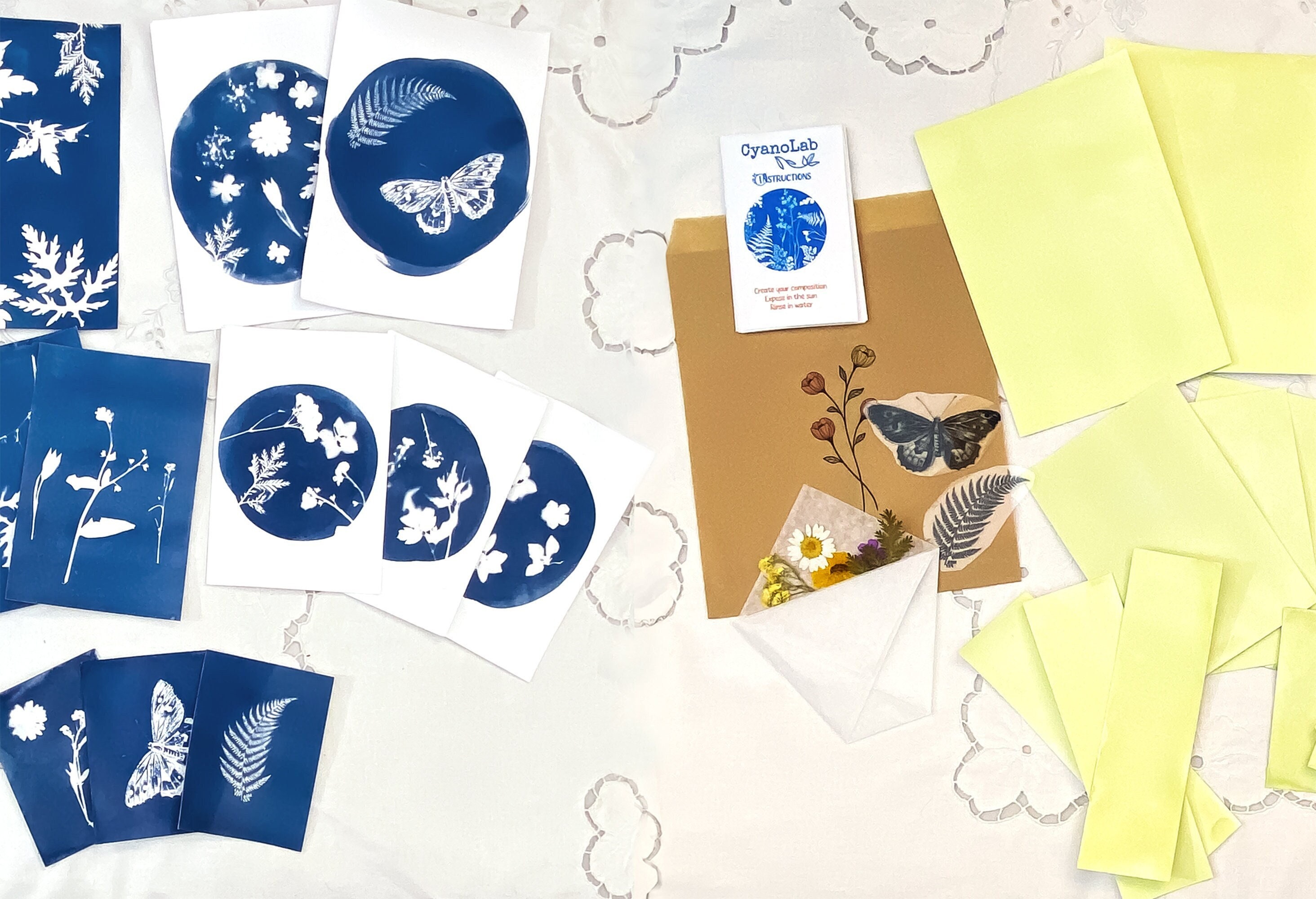 Kit exploration cyanotype à faire soi-même, Créez vos propres impressions et cadeaux faits main, fleurs, feuilles séchées et pochoirs inclus