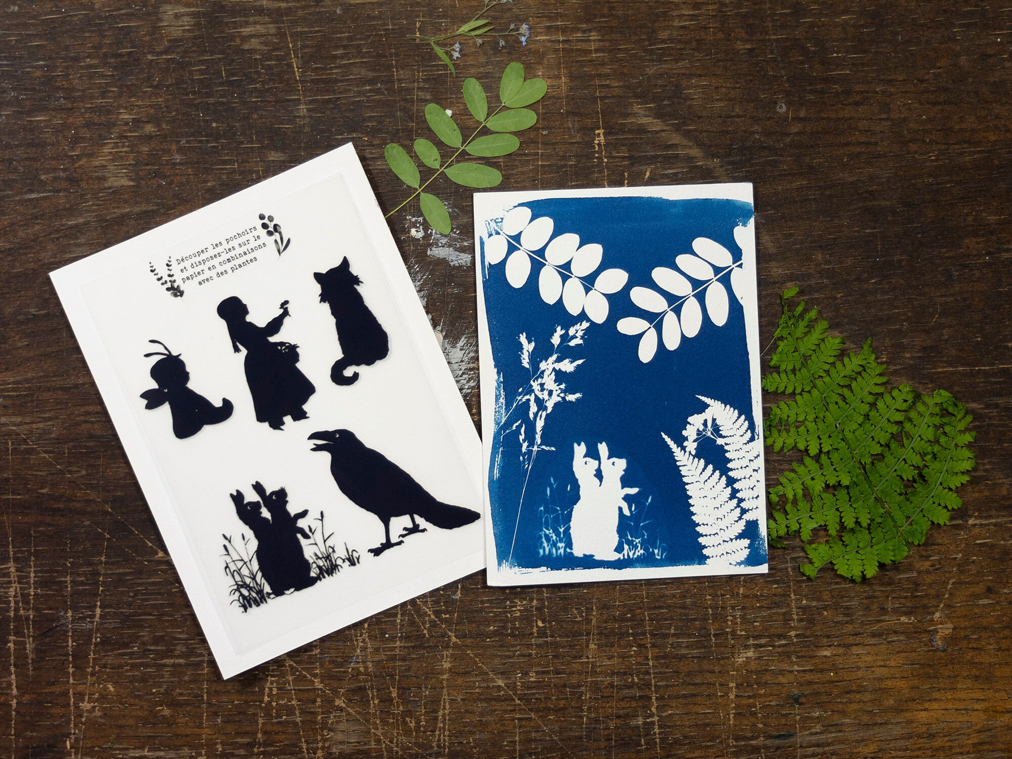 Kit de cyanotype: Pochoirs variés, Créez vos impressions et cadeaux faits main, pour les cadeaux d'anniversaire, les artistes