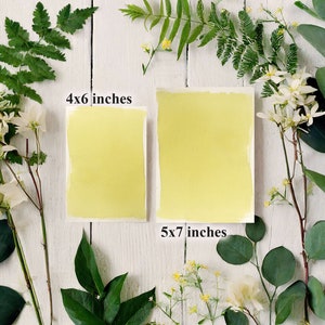May include: Two yellow cardstock paper sheets on a white wooden background. The sheet on the left is 4x6 inches and the sheet on the right is 5x7 inches. The sheets are surrounded by green leaves and white flowers.