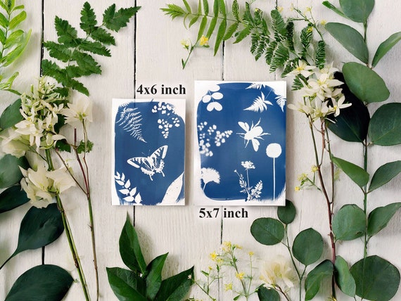 Cyanotype Paper Kit, Sun Printing Botanical Prints, Light Sensitive Blueprint Paper (4x6, 5x7 inch)