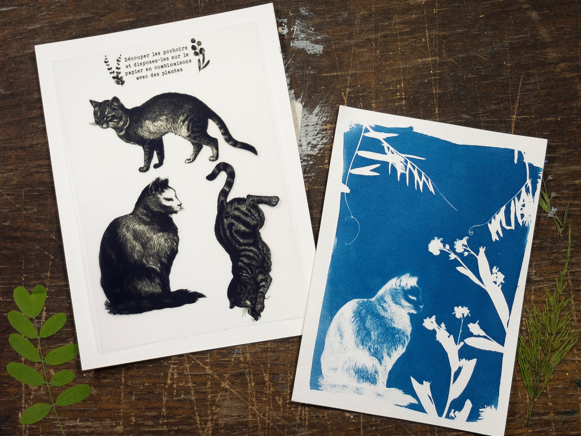 Kit de cyanotype: Pochoirs chats, Créez vos impressions et cadeaux faits main, pour les cadeaux d'anniversaire, les artistes