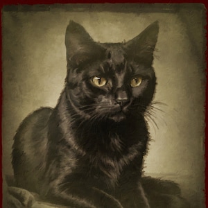 May include: A black cat with yellow eyes sits on a textured, light brown surface. The cat is looking directly at the viewer.