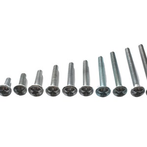 Può includere: Un set di 12 viti di colore argento di diverse lunghezze. Le viti hanno una testa piatta con una fessura a forma di croce.