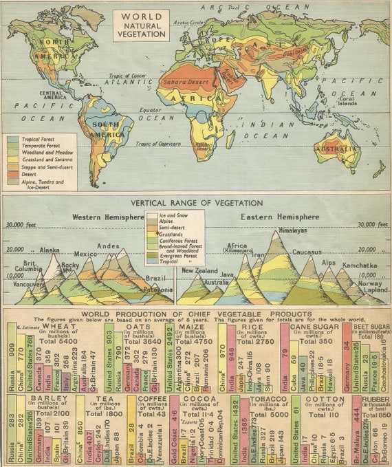 Mountain Chart