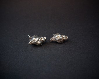 Fine silver shell stud earrings