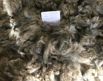 Gotland X Icelandic Fleece #3