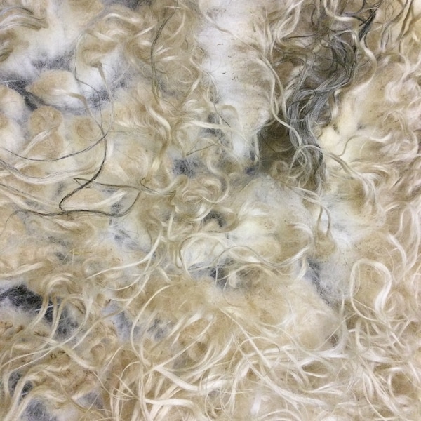 Fleece Icelandic #3