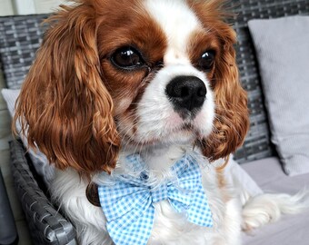 Blue Gingham Dog Bow Tie: Standard or Sailor Style, Cotton Pet Collar Accessory
