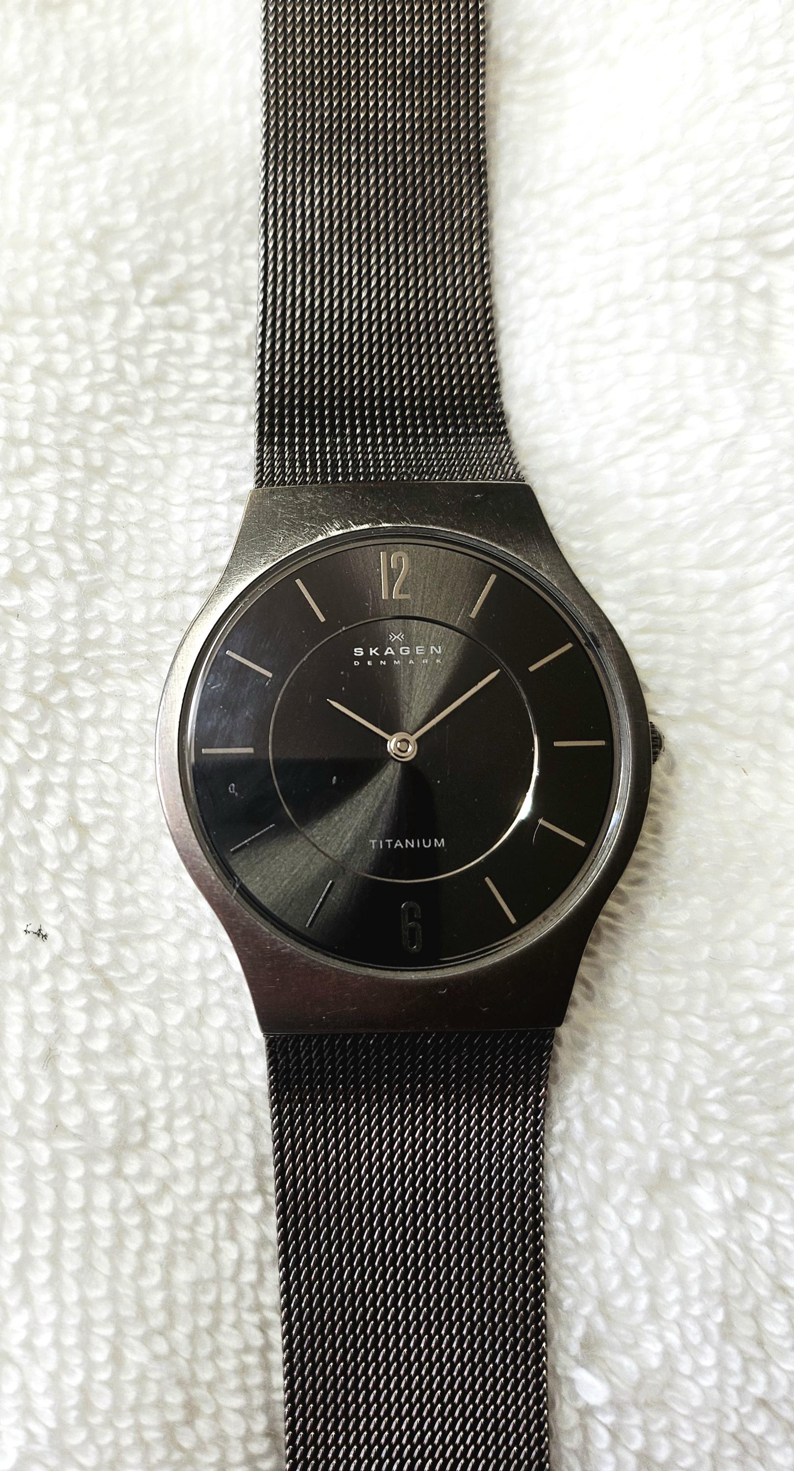 Skagen Titanium Watch - Etsy