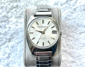 Citizen homer 2025 date 21 jewels