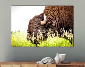 Bison Photo Print: South Dakota Prairie Art, Midwest Decor