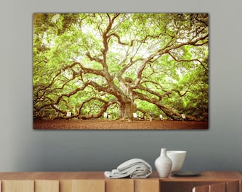 Angel Oak Tree, Charleston South Carolina Zen Nature Photography Available as Archival Paper, Canvas, & Metal Fine Art Prints