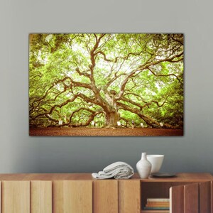 May include: A large, ancient oak tree with sprawling branches and lush green leaves. The tree is surrounded by a grassy area and a few small trees. The image has a vintage, sepia tone.
