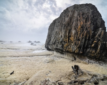 Seal Rock - Oregon Coast Hwy 101 Photography Decor - Pacific Northwest Fine Art Prints Available as Archival Paper, Canvas, & Metal