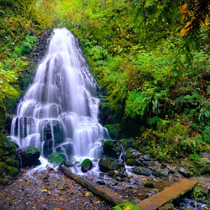 May include: A cascading waterfall flows over moss-covered rocks in a lush green forest. The water is clear and blue, and the surrounding foliage is vibrant.