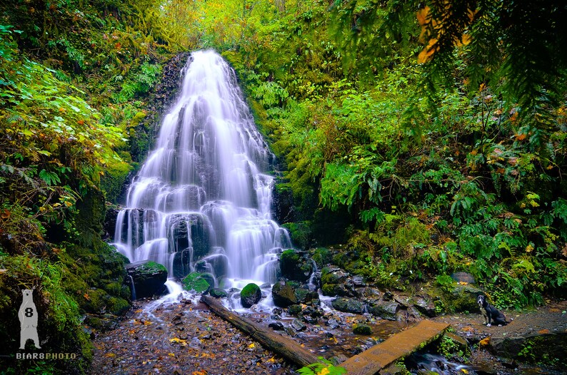May include: A cascading waterfall flows over moss-covered rocks in a lush green forest. The water is clear and blue, and the surrounding foliage is vibrant.