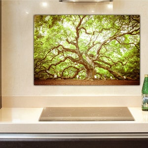 May include: A large, green oak tree with sprawling branches, photographed in a natural setting. The tree is in focus, while the background is slightly blurred.