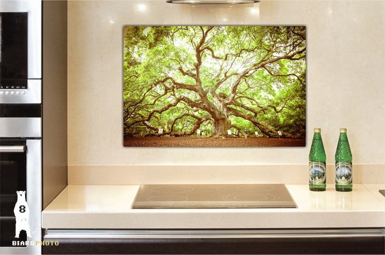 May include: A large, green oak tree with sprawling branches, photographed in a natural setting. The tree is in focus, while the background is slightly blurred.