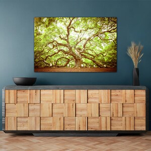 May include: A large, green oak tree with sprawling branches, photographed in a vintage style. The tree is the focal point of the image, with a blue wall and a wooden cabinet in the background.