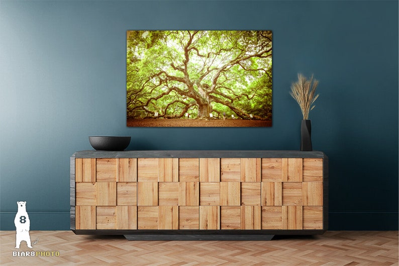 May include: A large, green oak tree with sprawling branches, photographed in a vintage style. The tree is the focal point of the image, with a blue wall and a wooden cabinet in the background.