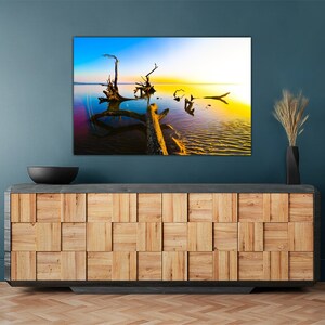 May include: A photograph of a large, weathered tree trunk partially submerged in a body of water. The water is a vibrant blue and green, with a golden sunset reflecting on the surface. The tree trunk is silhouetted against the bright sky.