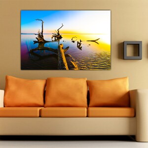 May include: A colorful photograph of a large, weathered tree trunk lying in a body of water. The water is a vibrant blue and green, and the sky is a mix of blue, yellow, and orange. The sun is setting in the distance, casting a golden glow over the scene.
