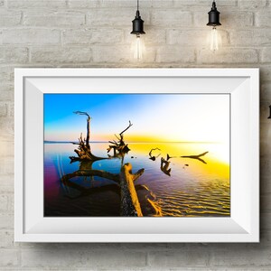 May include: A framed photograph of a scenic landscape with a large, weathered tree trunk partially submerged in a body of water. The water is a vibrant blue and green, reflecting the colors of the sky and the setting sun. The tree trunk is silhouetted against the bright orange and yellow sky, creating a dramatic contrast.