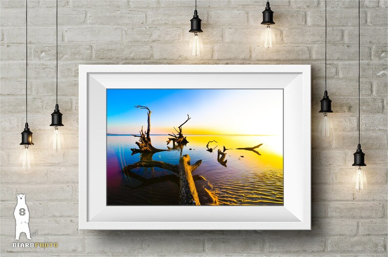 May include: A framed photograph of a scenic landscape with a large, weathered tree trunk partially submerged in a body of water. The water is a vibrant blue and green, reflecting the colors of the sky and the setting sun. The tree trunk is silhouetted against the bright orange and yellow sky, creating a dramatic contrast.